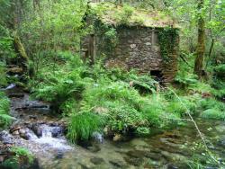 Grobas, aldea abandonada